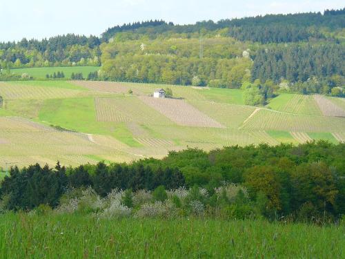 Wiesen, Wald und Weinberge.