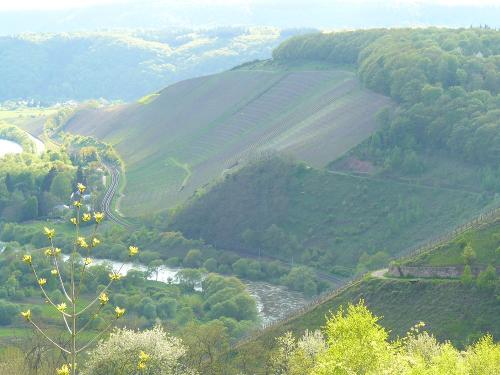 Blick ins Saartal