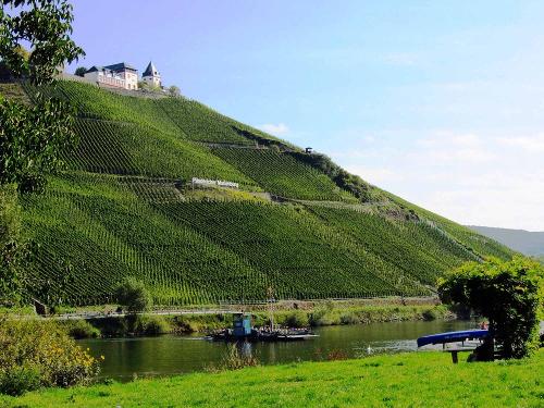 Blick auf die Marienburg in Pünderich an der Mosel