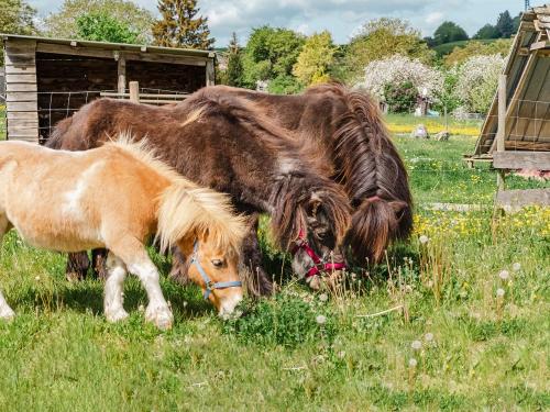 unsereponys
