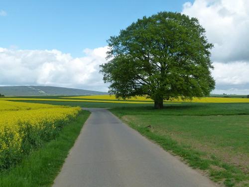 landschaftbeisulzbach
