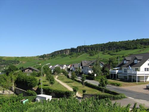 Ausblick vom Zimmer Spätburgunder