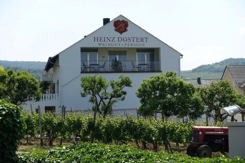 Weingut & Pension Heinz Dostert in Nittel