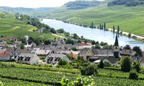 Ausblick auf die Mosel