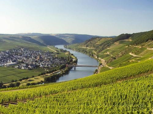 Blick auf Leiwen an der Mosel