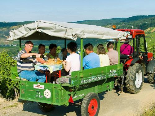 Planwagenfahrt durch die Weinberge