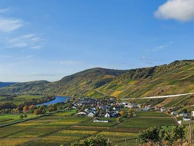 Urlaub am Weingut in Kesten an der Mosel