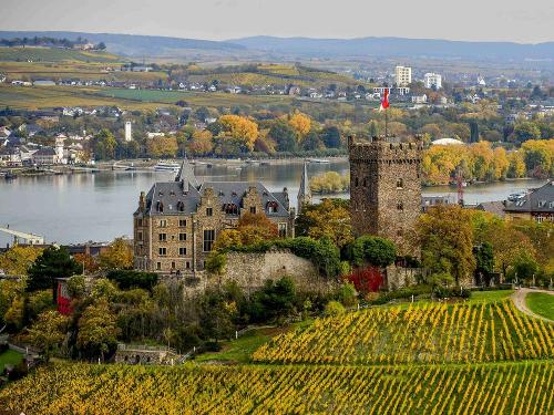 Burg Klopp - Foto: T. Silz