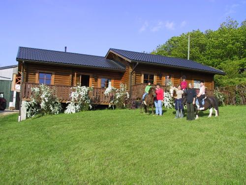 Ponys vor den Blockhäusern