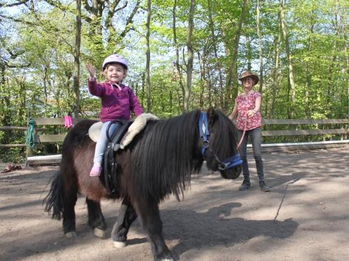 Ponyreiten