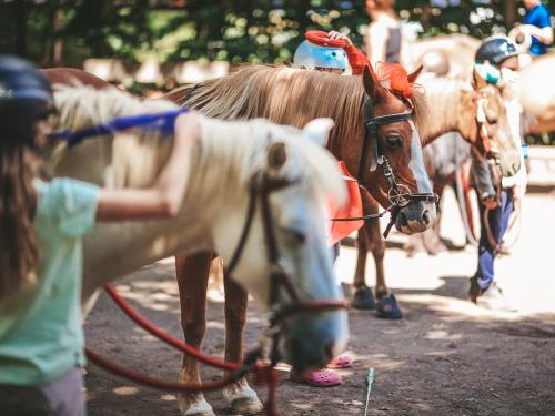 Reiten