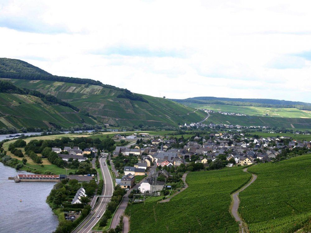 Wintrich an der Mosel