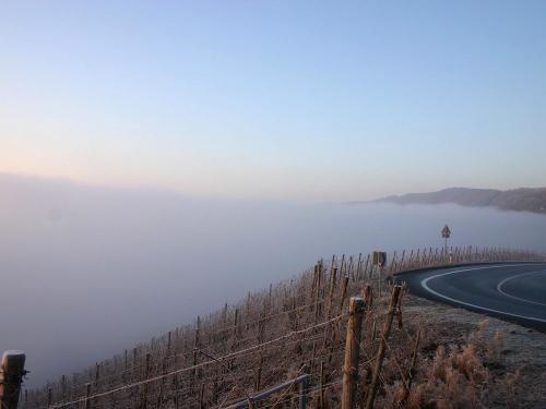 Moseltal im Nebel