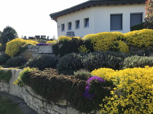Garten an Vinothek