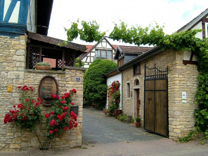 Bauern- & Winzerhof Zum Kelterhaus: Hofansicht