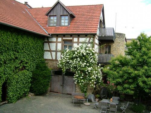 Bauern- & Winzerhof Zum Kelterhaus: Innenhof
