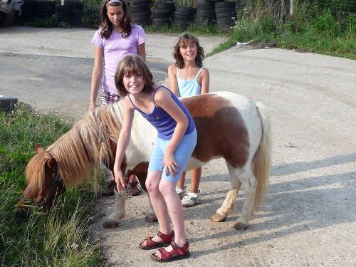 Mädchen führen Ponys aus