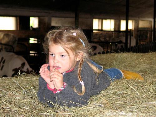Kleine Pause im Stall