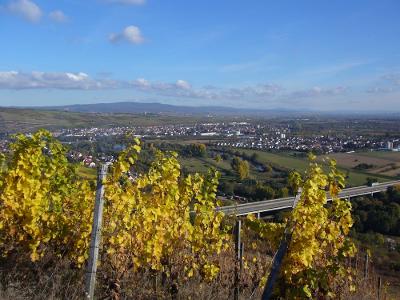 Urlaub auf dem Winzerhof an der Nahe