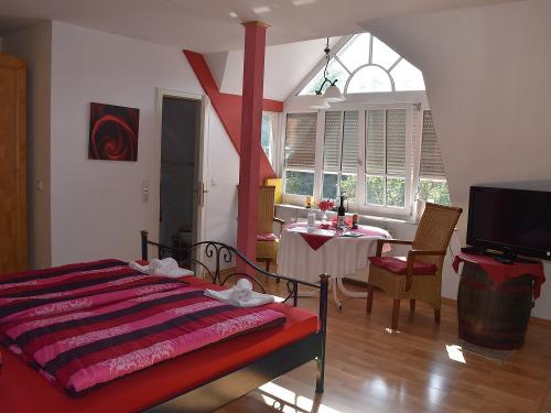 Schlossmühlen-Appartement: Wohn-Schlafraum