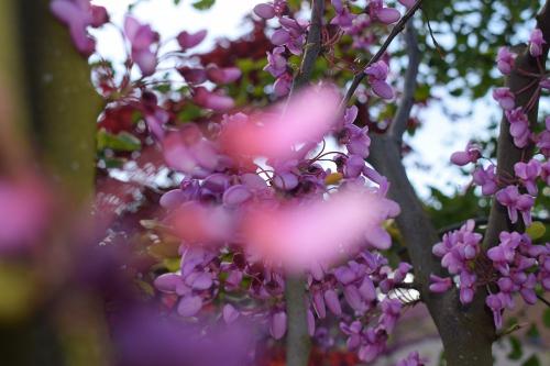 dsc_1355_59