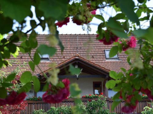 dsc_0307_51 dsc_0307_51