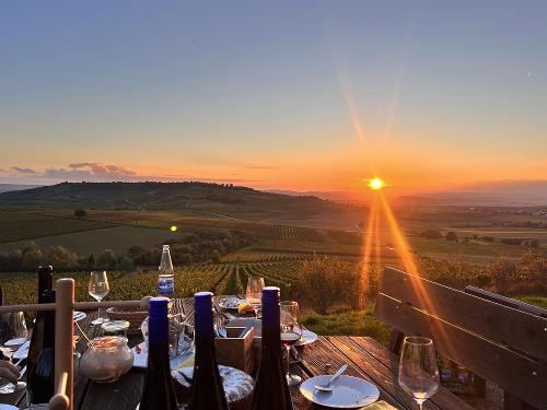 Picknick im Weinberg bei Sonnenuntergang Picknick im Weinberg bei Sonnenuntergang