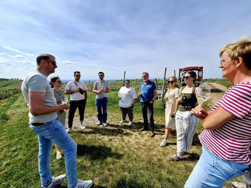 Weinbergführung Weinbergführung