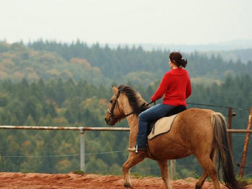 Reiten auf dem Reitplatz