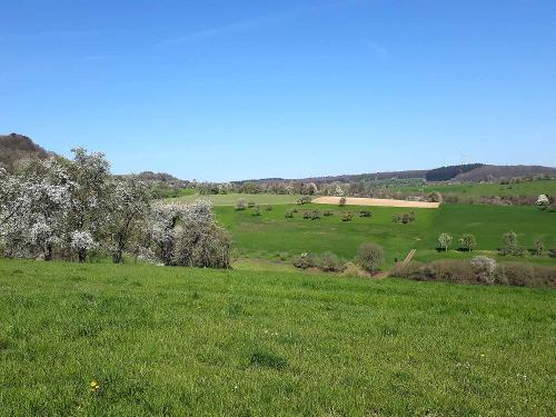 Frühling im Saarland