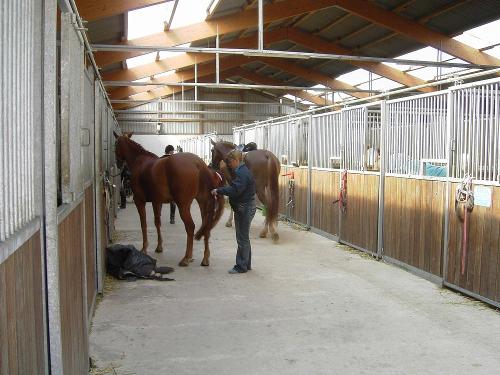 Boxengasse im Stall