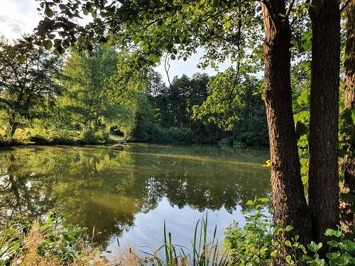 Weiher am Bauernhof Schneidmühle im Westerwald