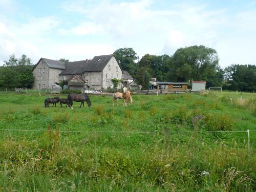 aus der Wiese gesehen aus der Wiese gesehen