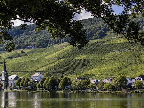 Weinlage Piesporter Goldtröpfchen