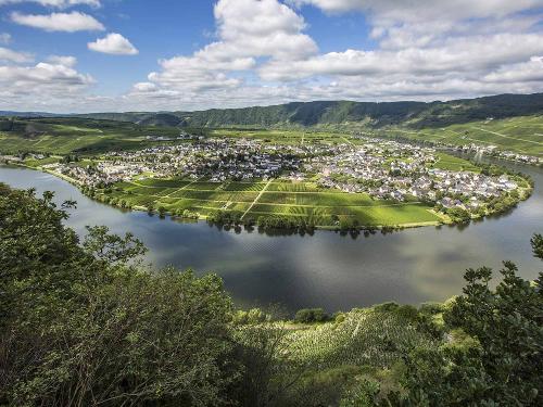 Moselschleife bei Piesport