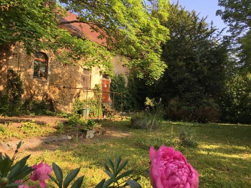 Eine schöne Ecke zum Träumen in unserem Garten