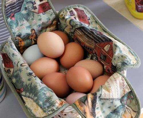 Frische Eier am Frühstücksbuffet