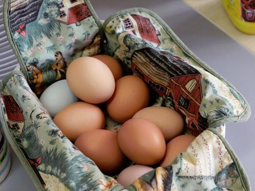 Frische Eier am Frühstücksbuffet