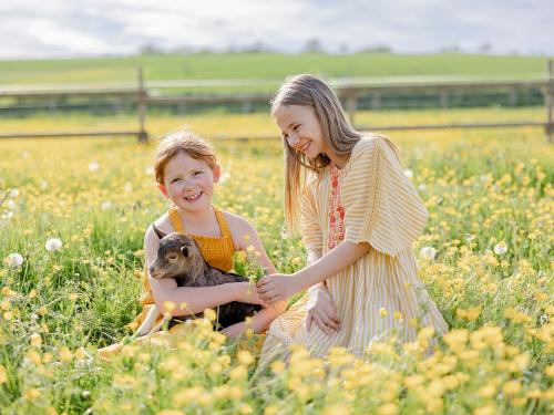 Hof-Hardthöhe-Kinder-Zicklein Hof-Hardthöhe-Kinder-Zicklein