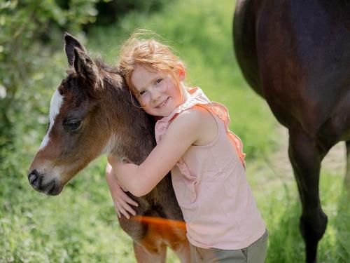Hof-Hardthöhe-Frida_Fohlen2 Hof-Hardthöhe-Frida_Fohlen2