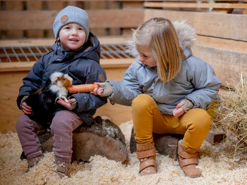 Hof_Hardthoehe_Kinder_Meerschweinchen2 Hof_Hardthoehe_Kinder_Meerschweinchen2