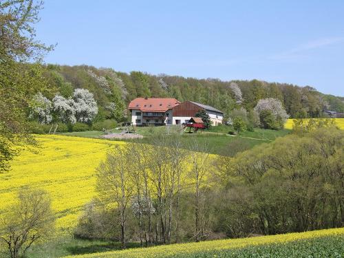 Urweilerhof im Frühling