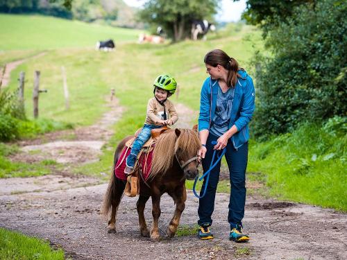 Geführtes Ponyreiten 1xwöchentlich