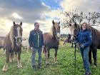 Absatteln nach einem schönen Ritt Absatteln nach einem schönen Ritt