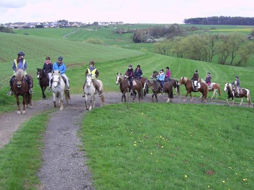 Tagesritt durch den Taunus