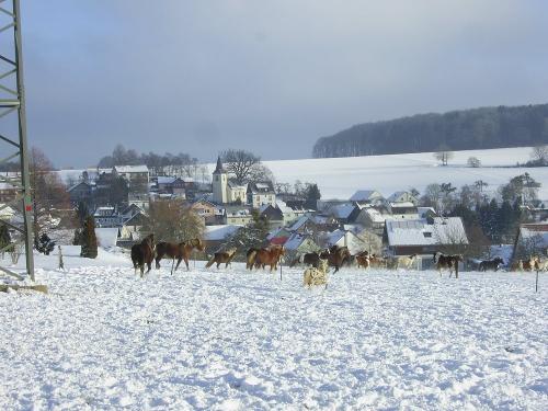 Schweighausen im Winter