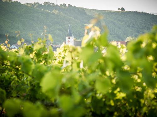 Weiler in den Weinbergen