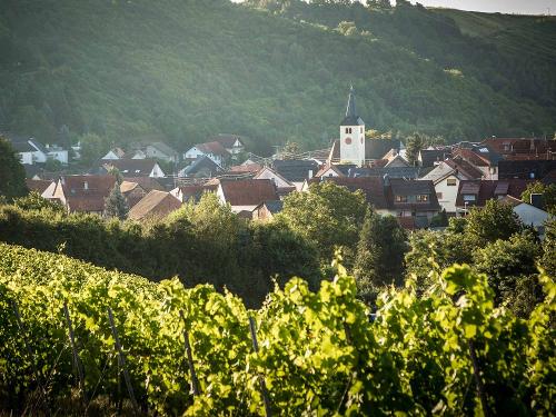 Weiler bei Monzingen im Nahetal