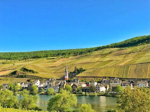Blick auf Zell-Merl an der Mosel