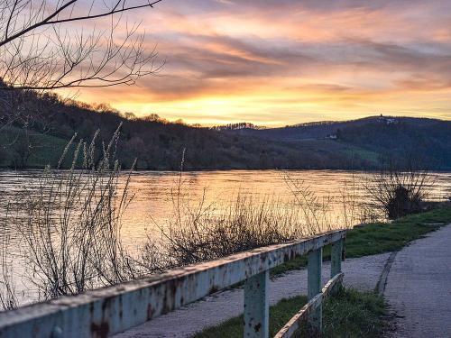Blick auf die Mosel